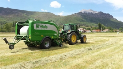 Vendida una McHale Fusion 3 Plus en León